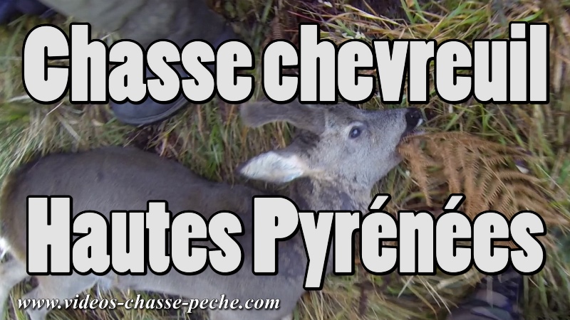 chasse chevreuil